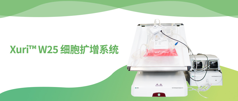 Xuri™ W25 细胞扩增系统：摇摆中的细胞工厂，轻松培育生物奇迹