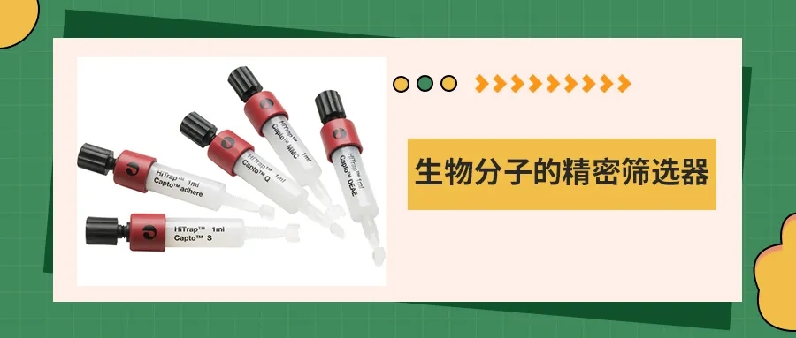 离子交换层析：生物分子的精密筛选器
