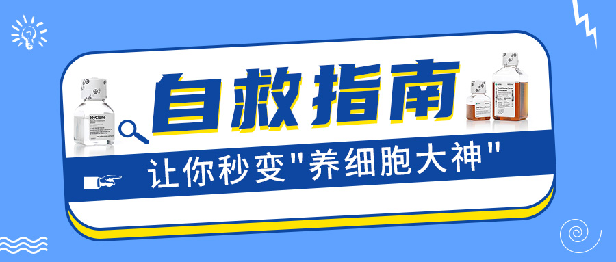 细胞摆烂？这份自救指南让你秒变养细胞大神