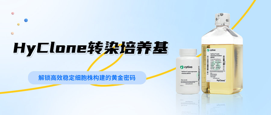 HyClone转染培养基——解锁高效稳定细胞株构建的黄金密码