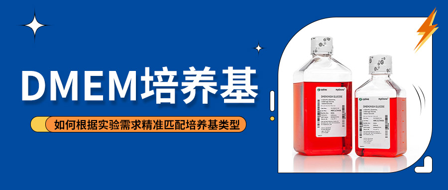 DMEM培养基选择指南 | 从基础到应用的全面解析—如何根据实验需求精准匹配培养基类型