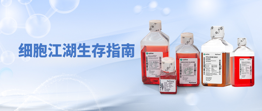 细胞江湖生存指南：从“手忙脚乱”到“游刃有余”的完全修炼手册